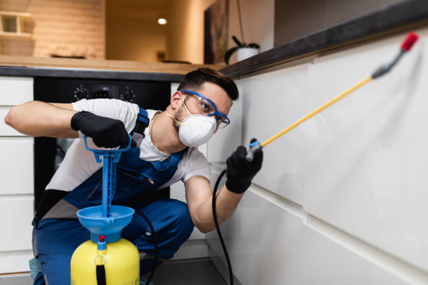 Trusted Los Luceros, NM Pest Control Experts