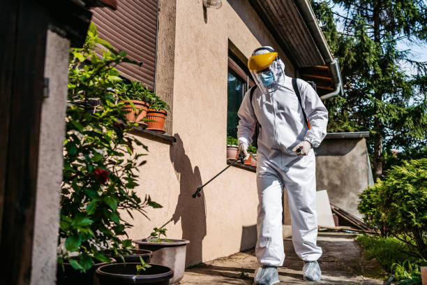 Best Mosquito Control Services  in Los Luceros, NM