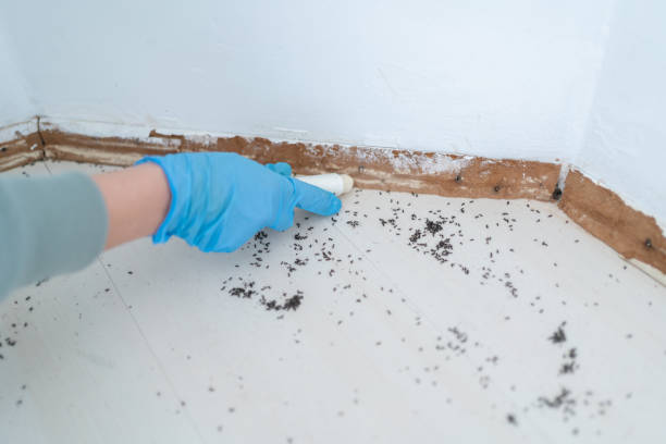 Pest Control Cost in Los Luceros, NM